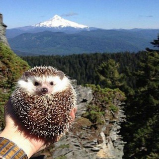 География и страны | Просто и понятно