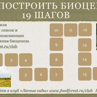 Персональный биоценоз (FoodForest)