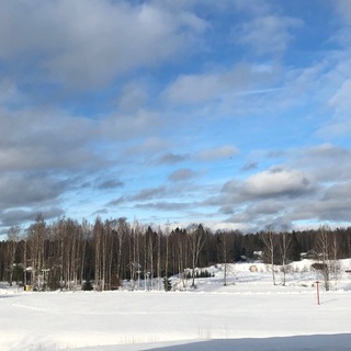 Гештальт Панорама